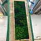 Панно из мха. Панно. Green.Box. Интернет-магазин Ярмарка Мастеров.  Фото №2