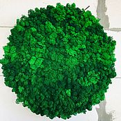 Картины и панно handmade. Livemaster - original item Round phytocartin made of stabilized moss 50 cm. Handmade.