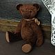 Заказать  Тот самый Мишка. Ручные мишки Тедди (tamedteddybears). Ярмарка Мастеров. . Мишки Тедди Фото №3