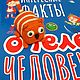 Кот Кубокот, Амигуруми куклы и игрушки, Воронеж,  Фото №1