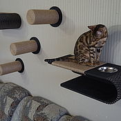 Warm outdoor house for cats