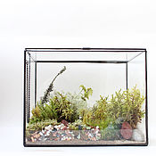 Цветы и флористика handmade. Livemaster - original item Mossarium. Florarium with real live moss. Handmade.