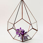 Цветы и флористика handmade. Livemaster - original item Florarium for creating a mini-garden. Geometric vase for Floriana. Handmade.