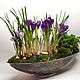 Аранжировка "Крокусы в стекле" цветы растения на 8 марта. Растения. DARK FLORIST Флористика Декор ЦВЕТЫ. Ярмарка Мастеров.  Фото №6