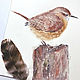 "Орешек" картина акварель (птицы, бежевый, картина с птицей), Картины, Корсаков,  Фото №1