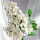 Сирень. Реалистичная флористика. Холодный фарфор. Цветы. FlowersDivo  (Портнова Римма). Интернет-магазин Ярмарка Мастеров.  Фото №2