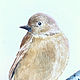 'Bird' watercolor painting (birds, beige, bird painting). Pictures. Nadezda Perova. My Livemaster. Фото №4