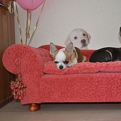 Sofa for a small dog or cat Laura. Available in size