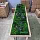 Заказать Панно из мха с растениями 40*40см. Green.Box. Ярмарка Мастеров. . Фитокартины Фото №3