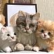 Кошка с котятами реалистичные, Войлочная игрушка, Москва,  Фото №1