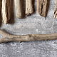 Набор дрифтвуда для декора и творчества, дерево из моря. Природные материалы. DriftWood Sochi (Дрифтвуд). Интернет-магазин Ярмарка Мастеров.  Фото №2