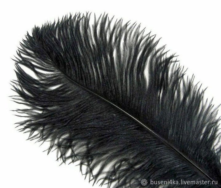 Огромное перо хср. Страусиное перо. Черные перья. Перья страуса черные. Большие перья.