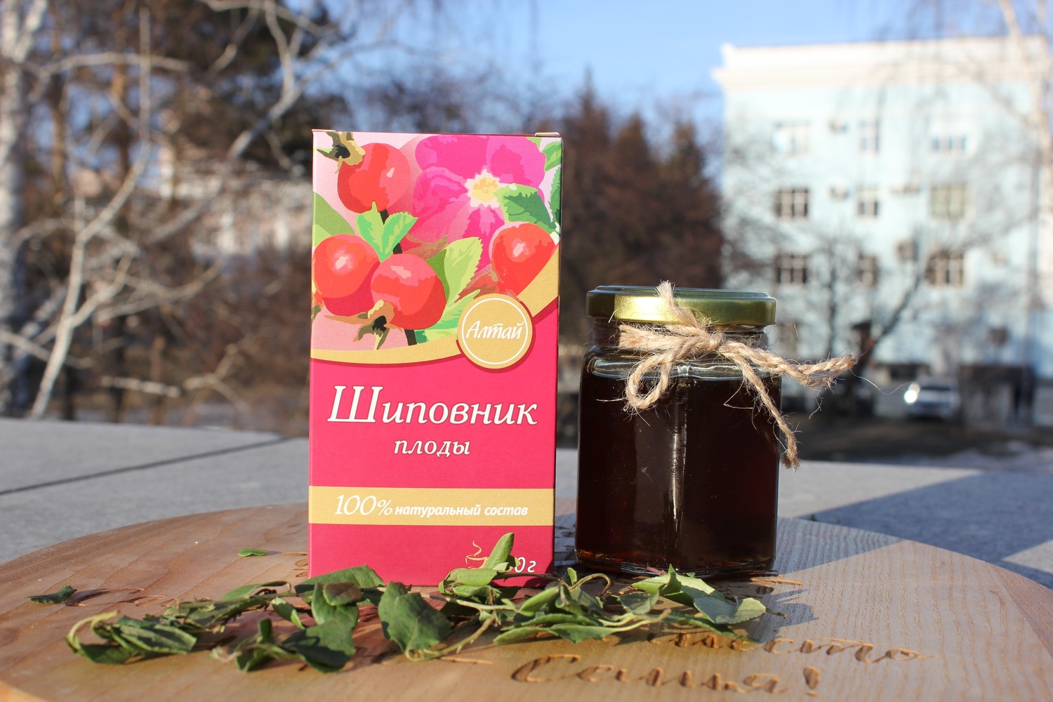 Мой профиль