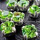 Peridot/silver,  Шатоны ss12 (3мм), Preciosa , 10 шт, Кристаллы, Москва,  Фото №1