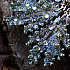 Wing earrings 'Between a dream and a fairy tale', Earrings, Krasnogorsk,  Фото №1
