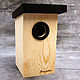 Wooden birdhouse for the birds `benchmark`
