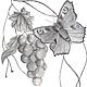 Illustration of the 'Butterfly and grapes'. Print templates. artnessa (artnessa). Online shopping on My Livemaster.  Фото №2