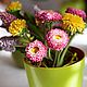 "Лето в чашке" Композиция из холодного фарфора. Композиции. Sezam.Flowers. Ярмарка Мастеров.  Фото №5