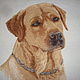 Embroidered picture "Labrador Retriever", Pictures, Moscow,  Фото №1