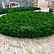 Заказать Круглое панно из мха. Green.Box. Ярмарка Мастеров. . Фитокартины Фото №3