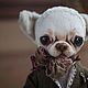 Тедди Чихуахуа. Тедди Зверята. Мишка в ладошке (teddy) Наталия. Ярмарка Мастеров.  Фото №5