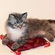 Siberian cat dogs, Stuffed Toys, Moscow,  Фото №1