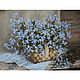 Oil painting ' forget-Me-not azure gaze', Pictures, Belorechensk,  Фото №1