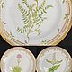 Винтаж:  Тарелка Royal Copenhagen Флора Даника Фарфор / 2807. Тарелки винтажные. Phoenix Antique • Феникс Антик. Ярмарка Мастеров.  Фото №5