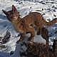   Кот  из Цикла Книг Коты Воите, Интерьерная кукла, Курск,  Фото №1