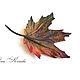Order Brooch leather Autumn maple leaf decoration to present maple leaf. flowersstyle (flowersstyle). Livemaster. . Brooches Фото №3