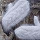 Order Downy knitted mittens, mittens. Творческая мастерская козьего пуха (локоны, пряжа, изделия). Livemaster. . Mittens Фото №3