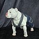 Зефир Фарфоровая собака. Шарнирный American bully Американский хулиган. Шарнирная кукла. FROZENWORLD.ART by Людмила Григоровская (bjdanimals). Ярмарка Мастеров.  Фото №6