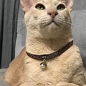 Зоотовары handmade. Livemaster - original item Collars,collar,for cat,for dog.. Handmade.