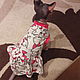 Одежда для кошек  майка-платье "Красотка". Одежда для питомцев. Happy-Sphynx. Интернет-магазин Ярмарка Мастеров.  Фото №2