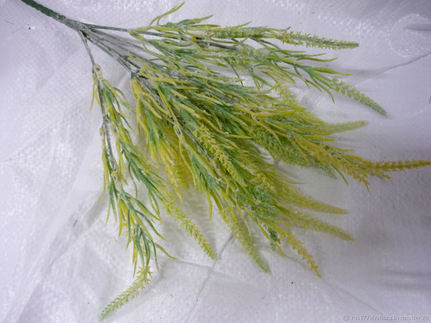 Луговые растения и травы что растет, фото с названиями