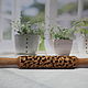 rolling pin: Rolling pin with a pattern of 'Insects'. Rolling pins. Uzorka. Online shopping on My Livemaster.  Фото №2