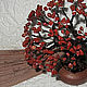 Red Jasper bonsai spray of dawn, Bonsai, Moscow,  Фото №1
