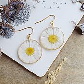 Heart earrings with ozotamnus. Resin earrings with real flowers