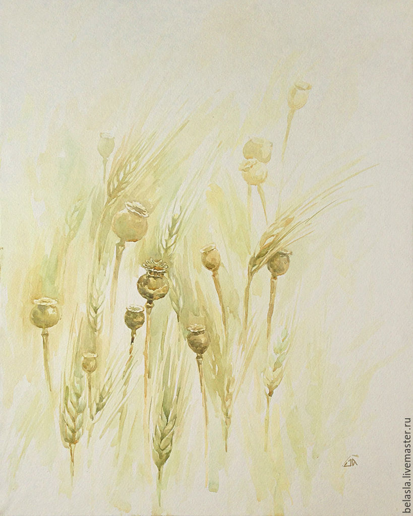 Poppy boxes in wheat, watercolor, Pictures, Moscow,  Фото №1