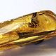 Серьги из янтаря с насекомыми. Серьги классические. Виктория (podaro4ek22). Ярмарка Мастеров.  Фото №7
