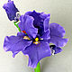 iris,iris brooch,iris graphic iris polymer clay. Flowers and decorations Zarifa Pirogova.
