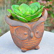 Для дома и интерьера handmade. Livemaster - original item Concrete planter owl with artificial succulent. Handmade.