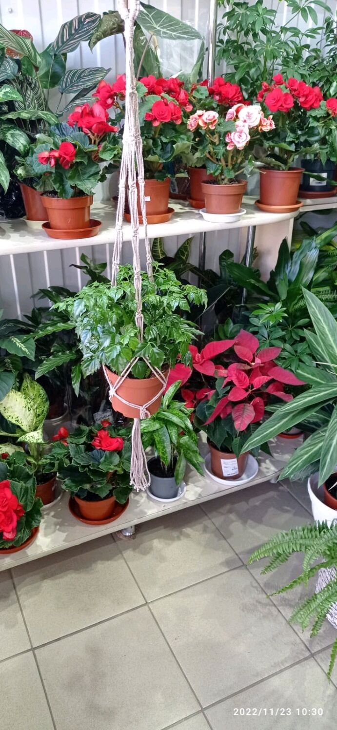 Кашпо для цветов макраме в интернет-магазине на Ярмарке Мастеров ...