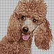 Order  APRICOT POODLE. Beaded embroidery from Laura. Livemaster. . Embroidery kits Фото №3
