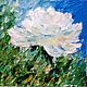 Мини-Картина с цветком. Пион белый, Картины, Челябинск,  Фото №1