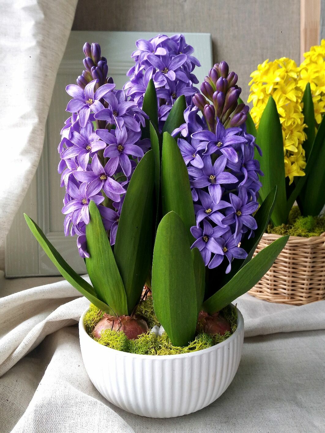 Цветы Из Фоамирана Большого Размера – купить в интернет-магазине OZON по низкой цене