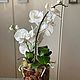 Орхидея из холодного фарфора. Цветы. Оксана Кутюмова. Ярмарка Мастеров.  Фото №6