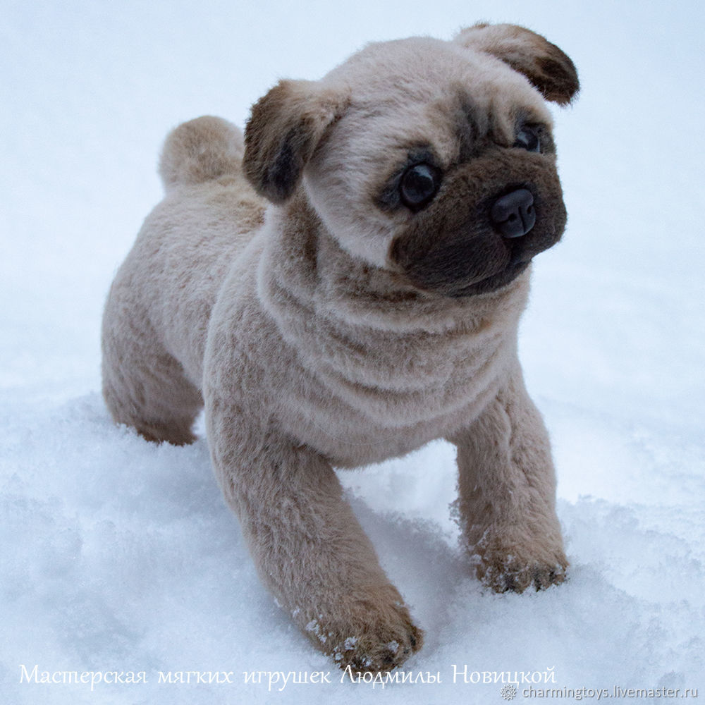 Купить комбинезон дождевик TEDDY для собак мелких пород.