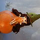 Шляпа для Блайз "Волшебная осень". Одежда для кукол. Fiona. Ярмарка Мастеров.  Фото №4