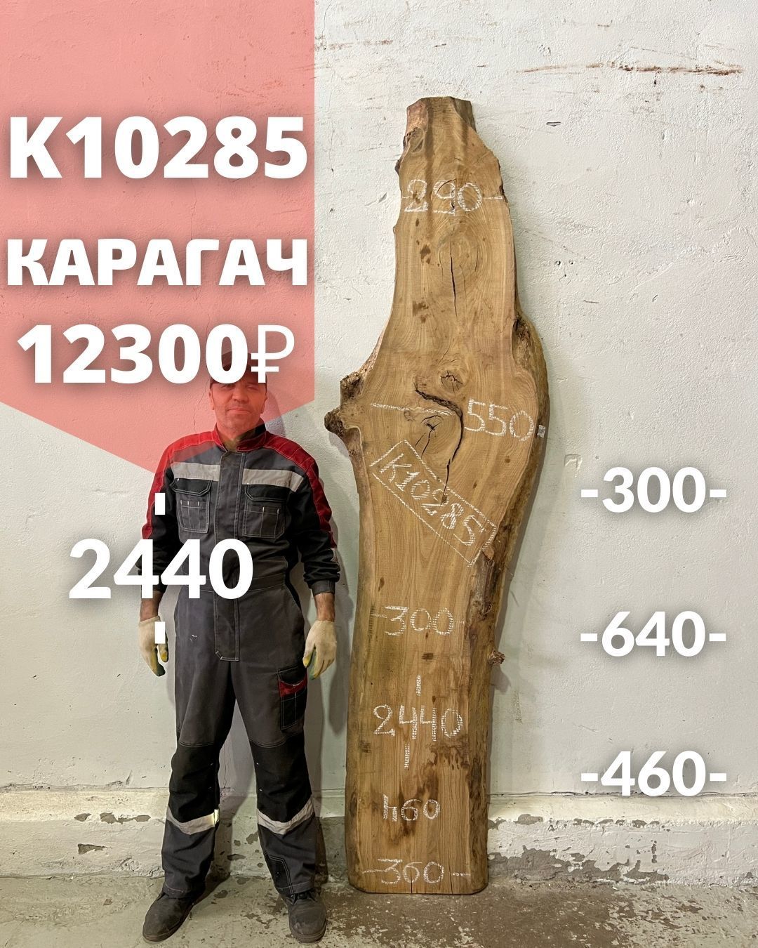 Слэб карагач высота 2,44 м дерево K10285 древесина купить в интернет ...